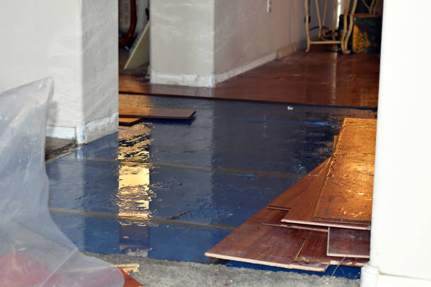 Professional Basement Flood Cleanup technician working in Oak Harbor, WA